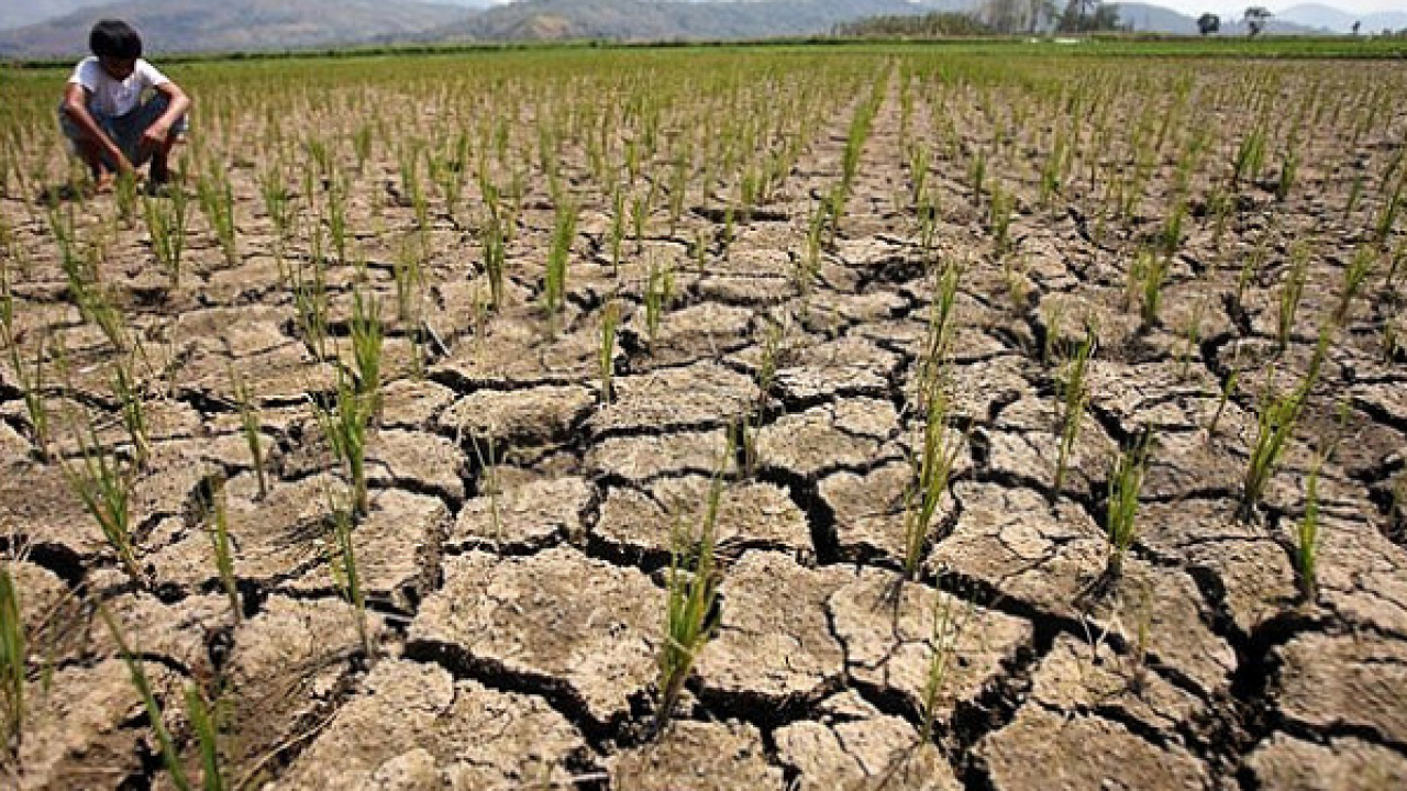 El Niño climate pattern in the Pacific Ocean