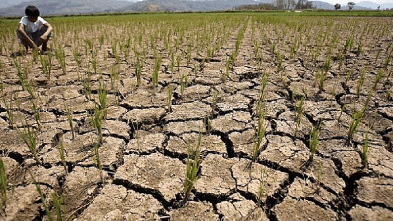 El Niño climate pattern in the Pacific Ocean