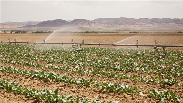 Irrigation on dry Turkish farmland suggesting water-intensive crops
